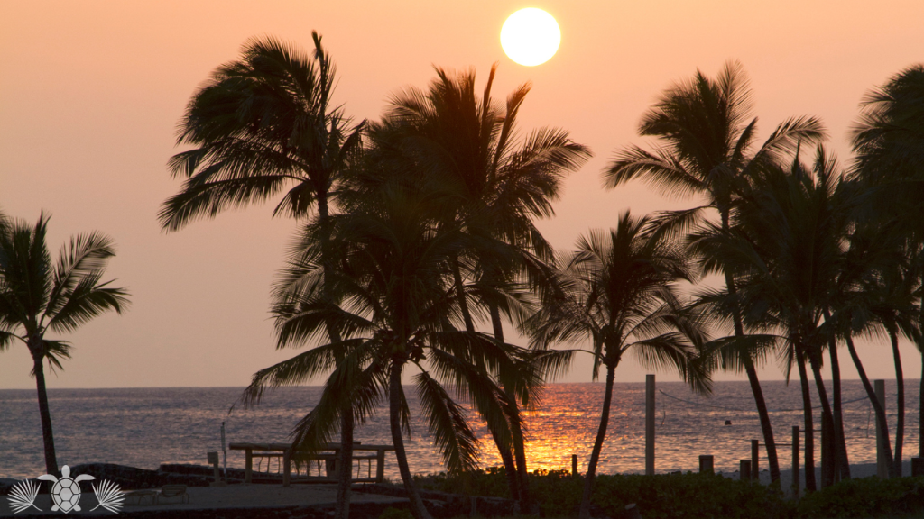 Sunshine Year-Round When You Move to Kona