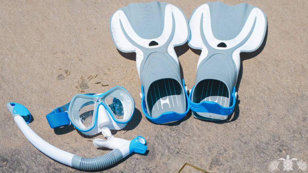 Items for Snorkeling