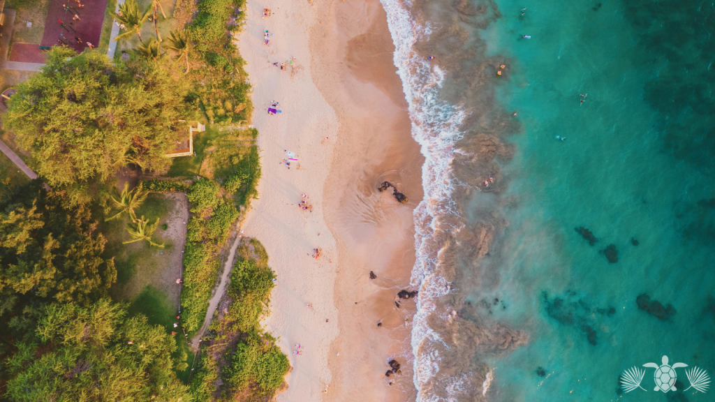 Aerial View of a Beach