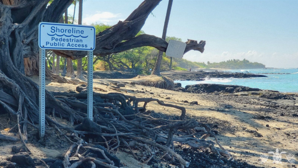 ʻAnaehoʻomalu Bay