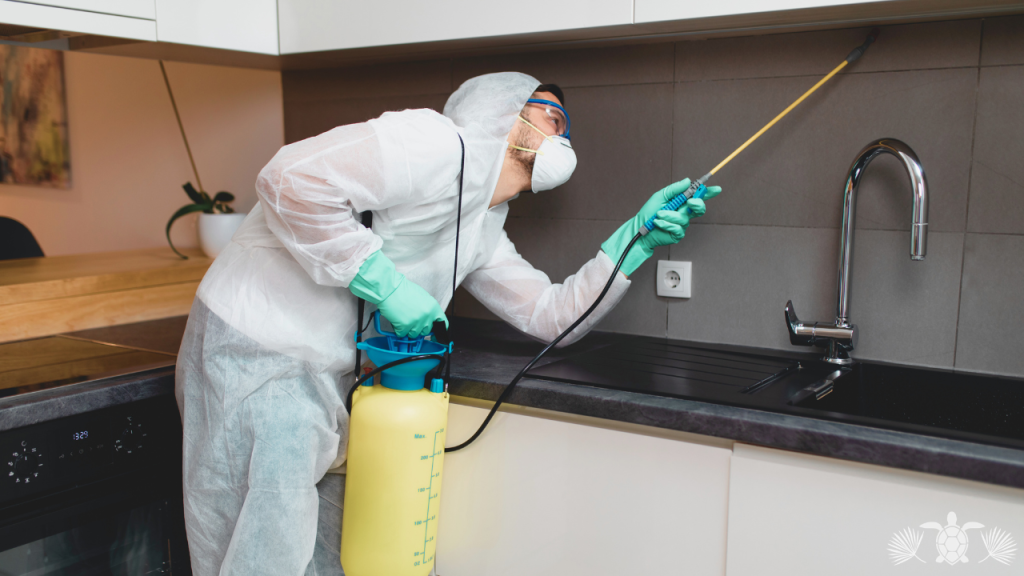 Home Maintenance_ A Man Doing Pest Control
