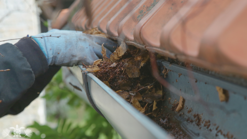 Home Maintenance_ Clearing Out Gutters