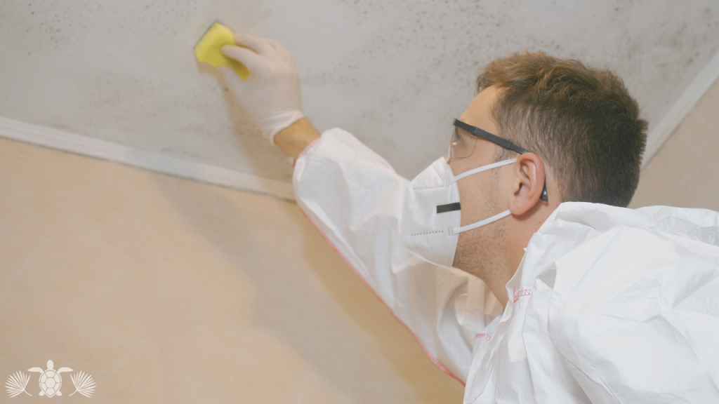 Home Maintenance_ Man Checking For Signs Of Molds