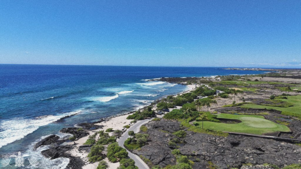 Pine Trees Beach on West Side Big Island