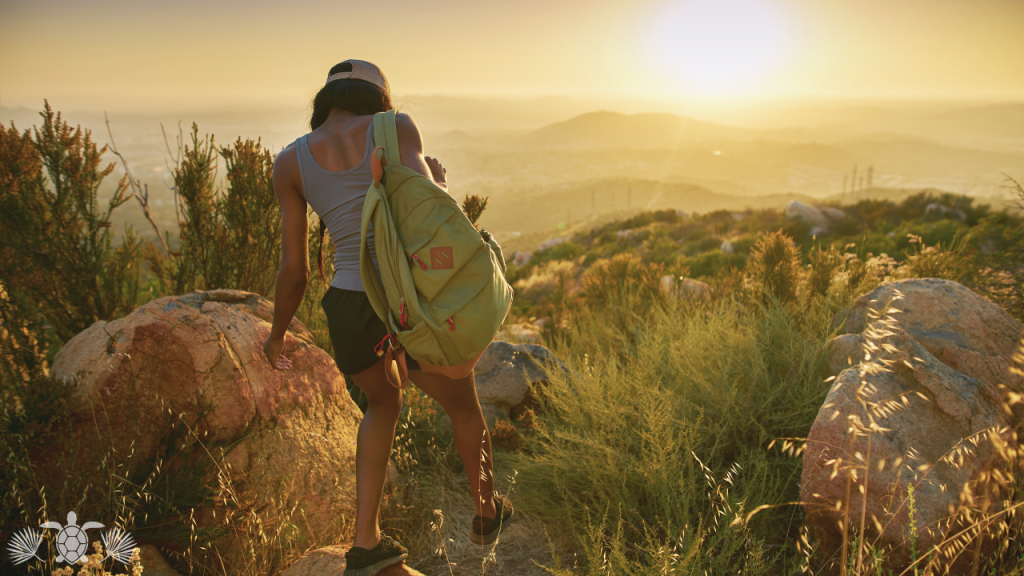 Hiking Trails Near Kona View Estate