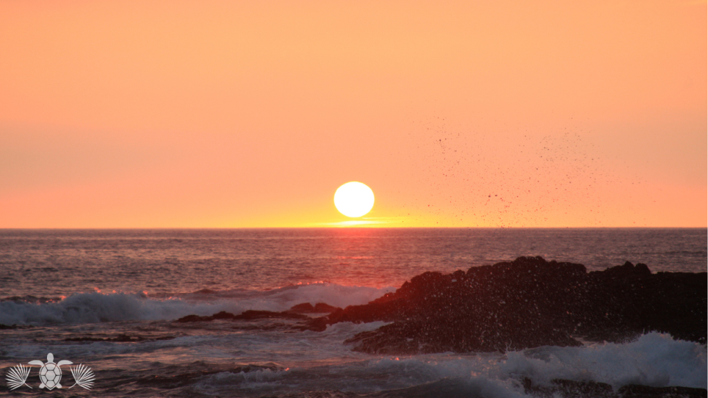Beautiful Sunset in Kona