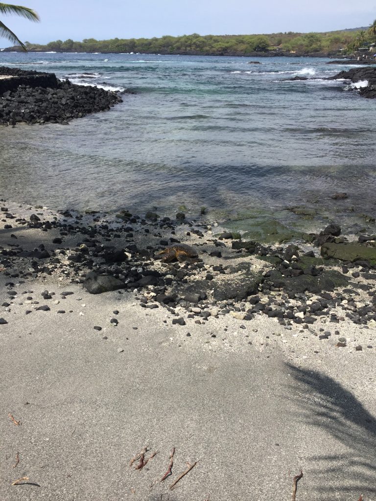 Honaunau Beach