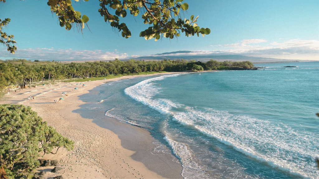 Beach Near Alii Heights