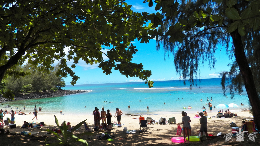 Living in Hawaii Pros and Cons: Tourists in a Beach in Hawaii