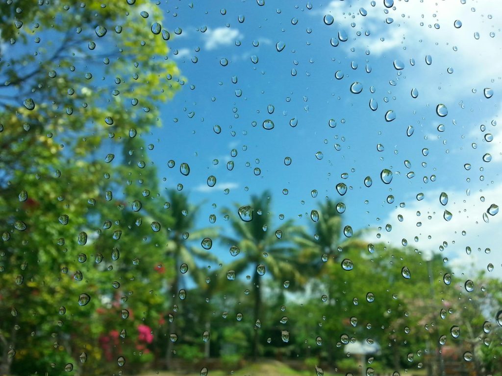 rainy hawaii