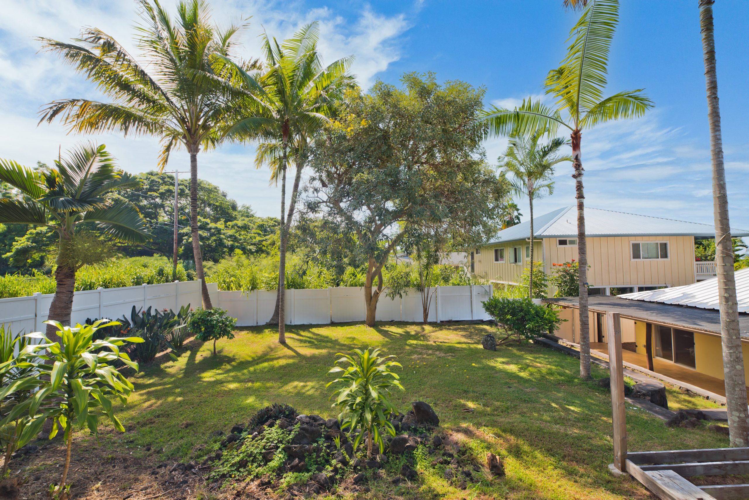 Kona Heights Backyard