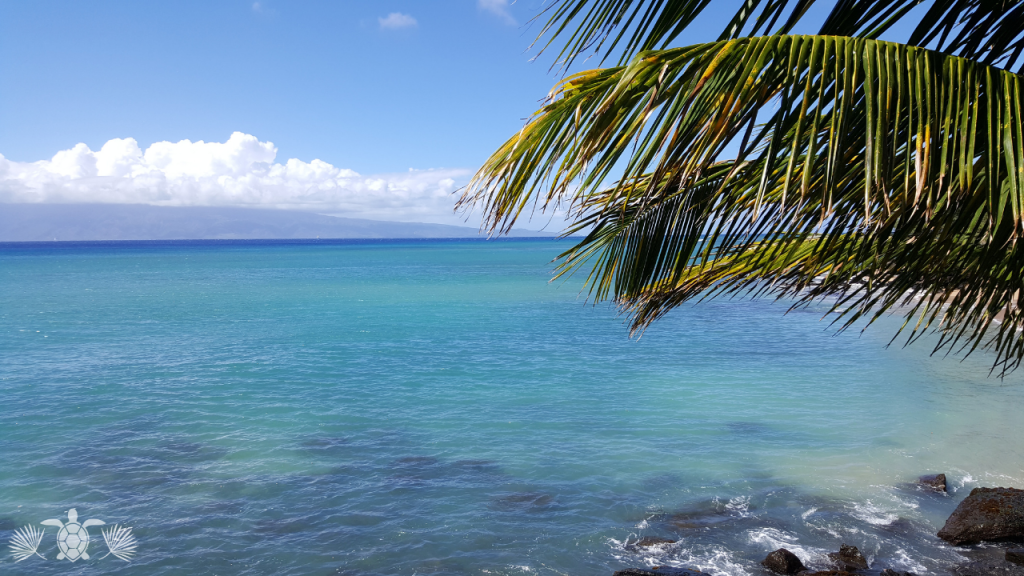 Ocean view from a unit in Royal Kahili
