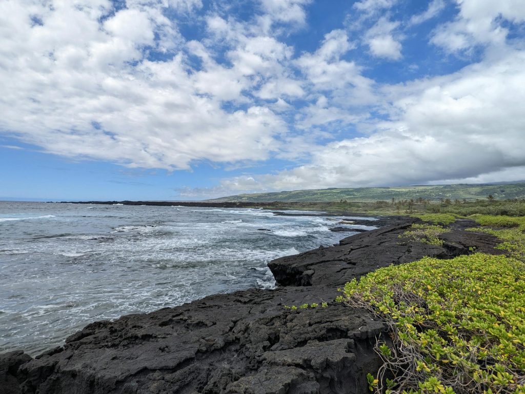 hawaii real estate: hawaii shore with greenery