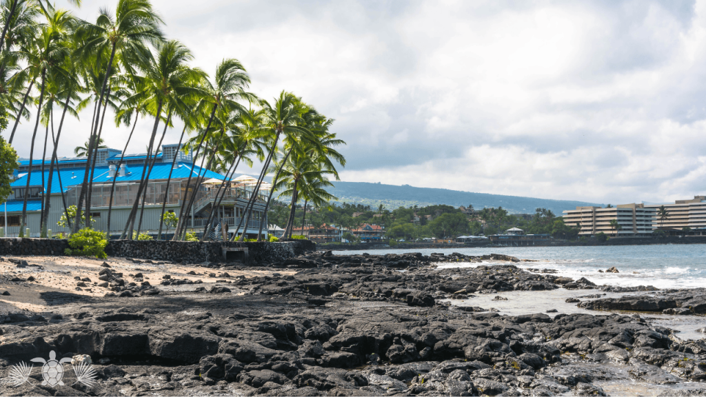 Beach Near Kona Acres with Soraya Letournel's Logo