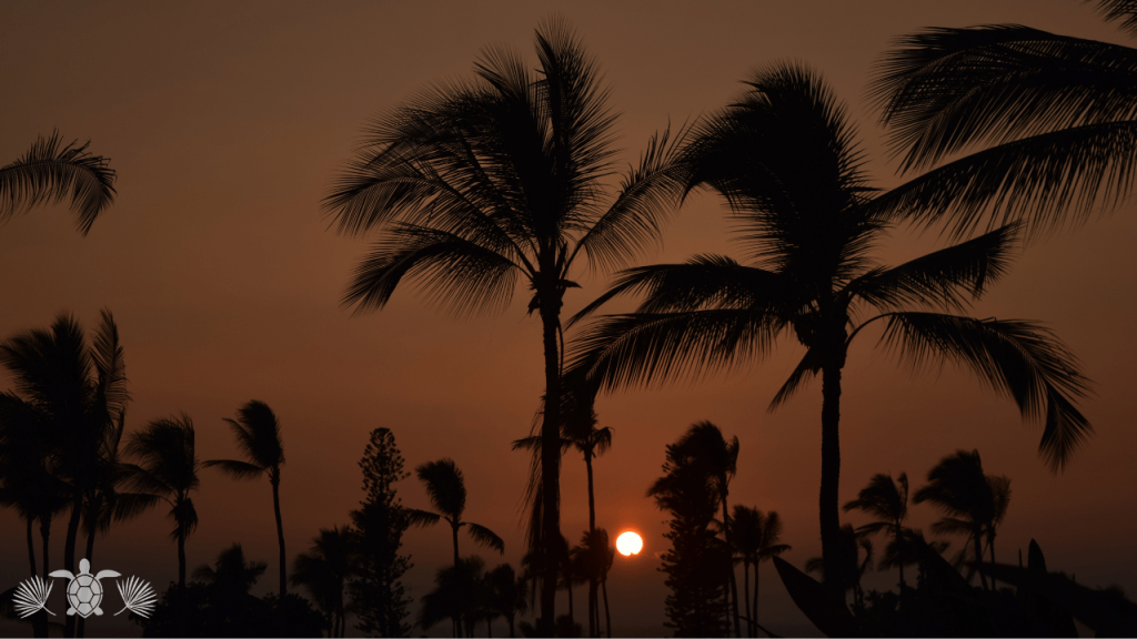Scenic View From Kona Acres with Soraya Letournel's Logo