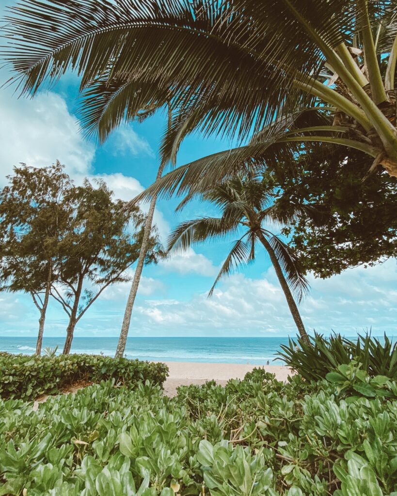 black logo - Big Island Real Estate - Kona Realtor, Soraya Letournel