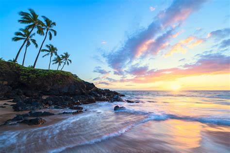 Buyer Intake Form - Big Island Real Estate - Kona Realtor, Soraya Letournel