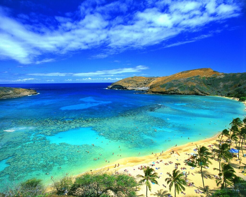 Buyer Intake Form - Big Island Real Estate - Kona Realtor, Soraya Letournel