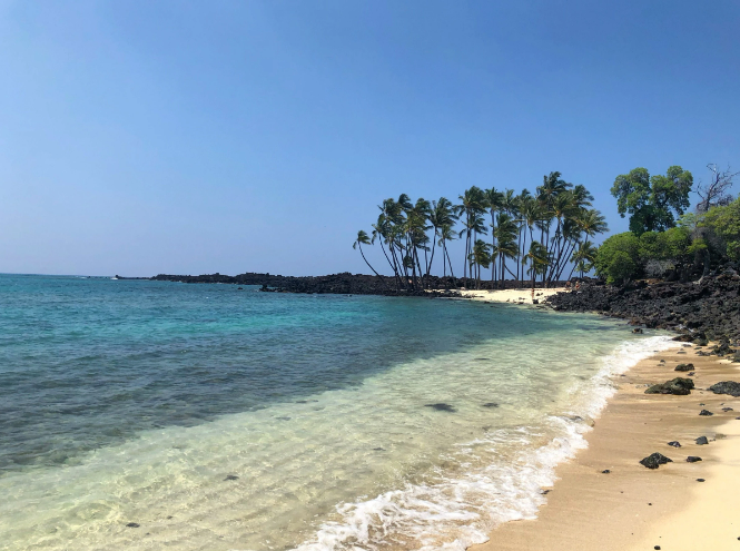 - Big Island Real Estate - Kona Realtor, Soraya Letournel