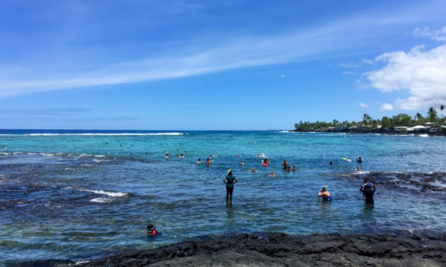 Home - Big Island Real Estate - Kona Realtor, Soraya Letournel