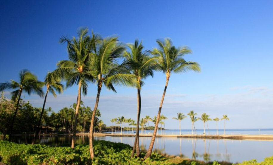 Home - Big Island Real Estate - Kona Realtor, Soraya Letournel