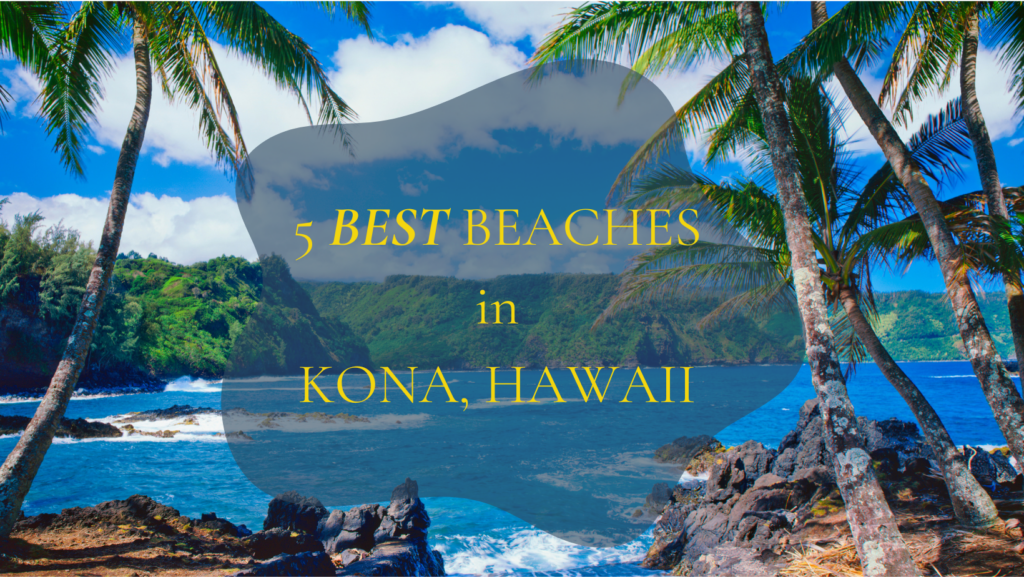 - Big Island Real Estate - Kona Realtor, Soraya Letournel