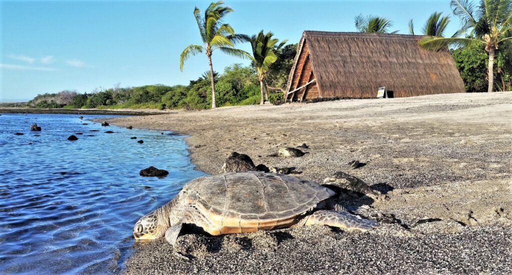 - Big Island Real Estate - Kona Realtor, Soraya Letournel Secluded white sands at Kekaha Kai State Park