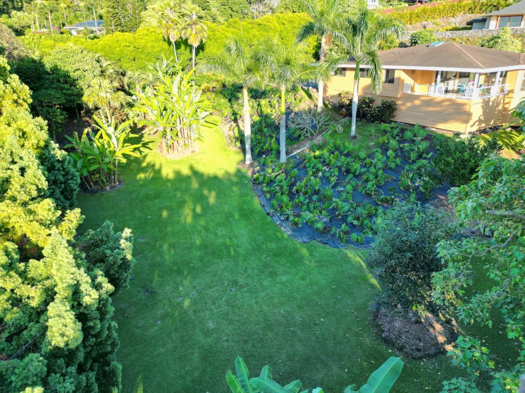 Front view shot of home in Kona Heavens