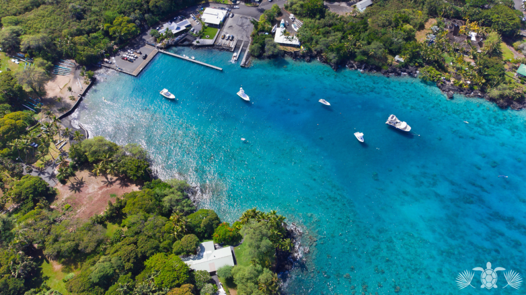 Aerial shot of some homes in front of the beach