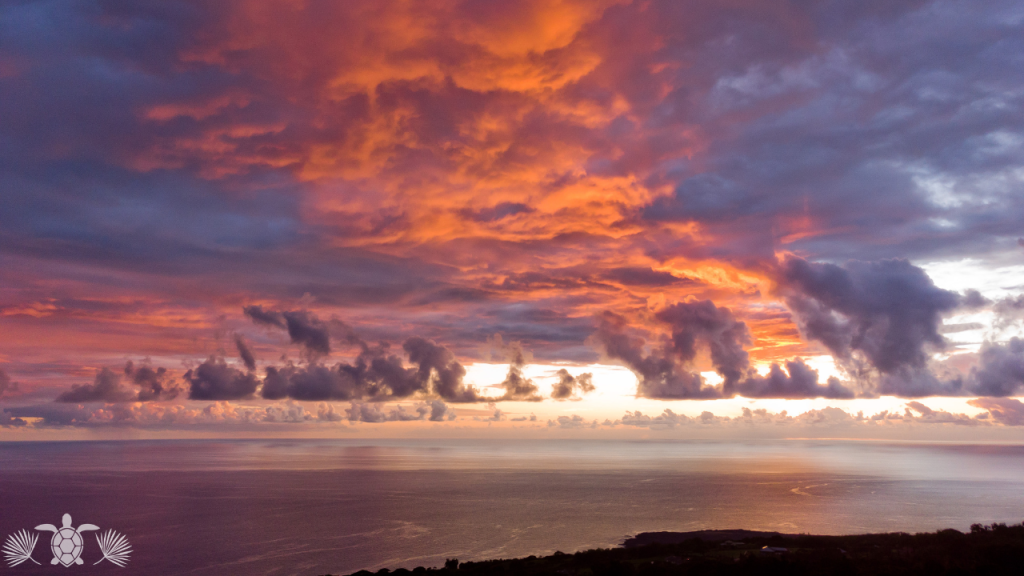 a nice view in big island