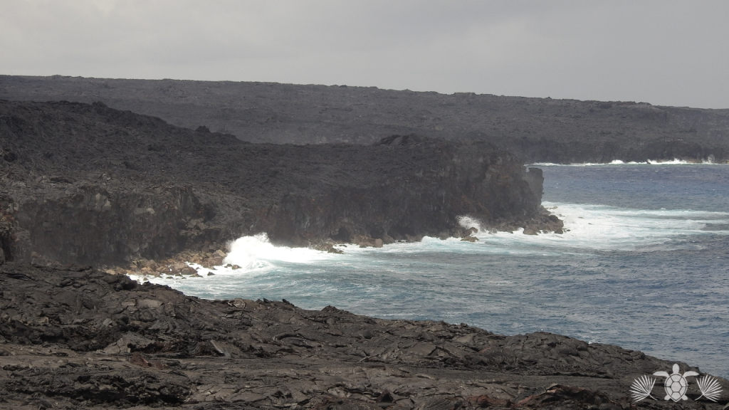 An Area in Big Island with Fertile Land