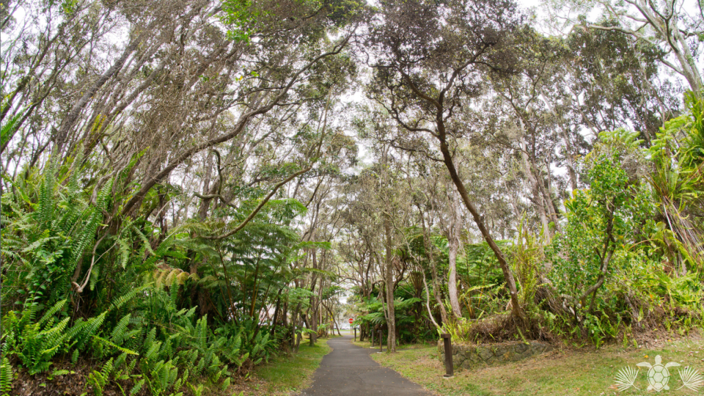 A place in a tropical zone