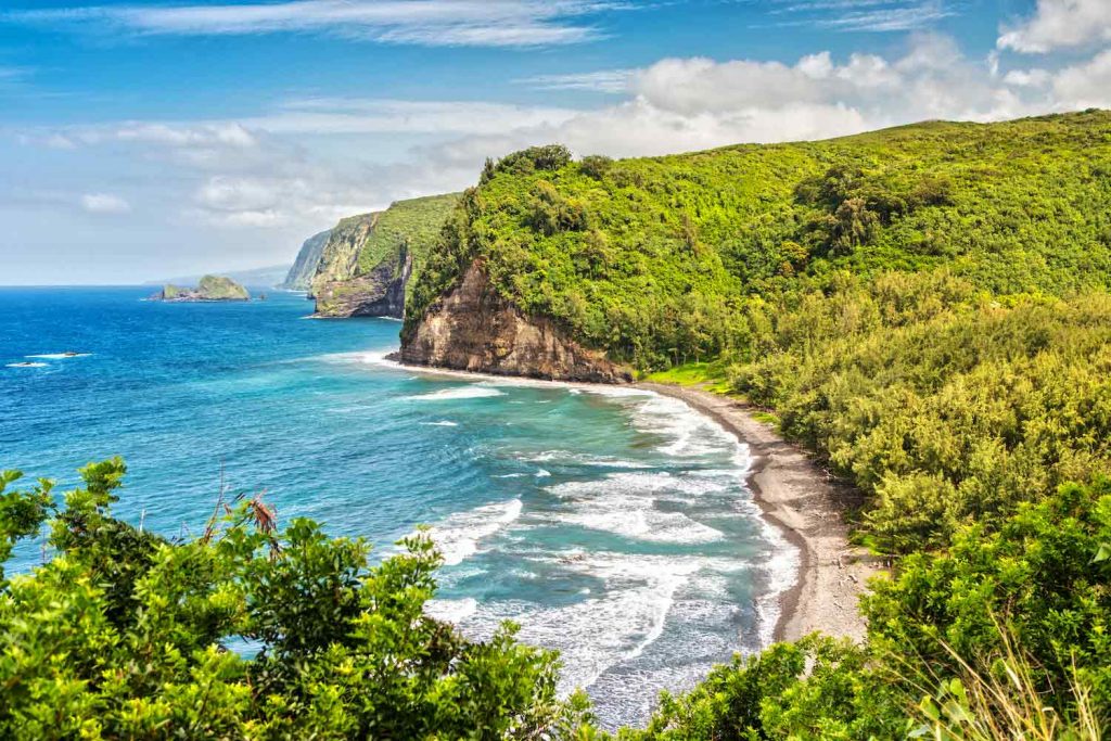 Aerial Shot of Kohala Coast