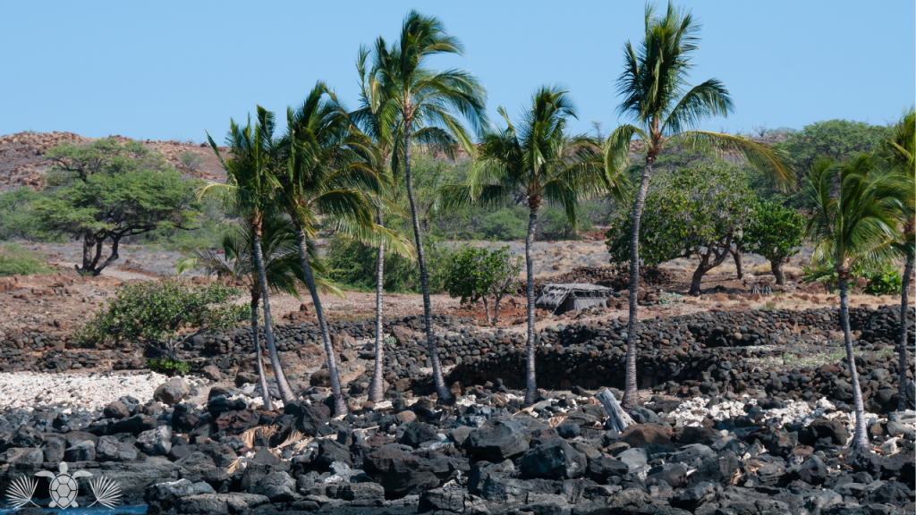 Lapakahi State Historical Park in Kohala Coast