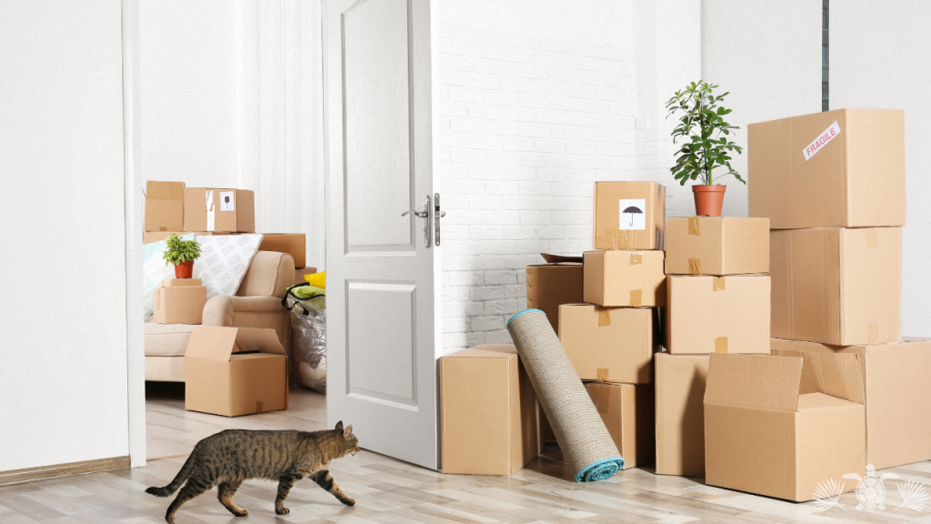 Moving to Hawaii with Pets
