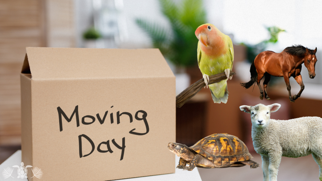 Moving to Hawaii with other animals
