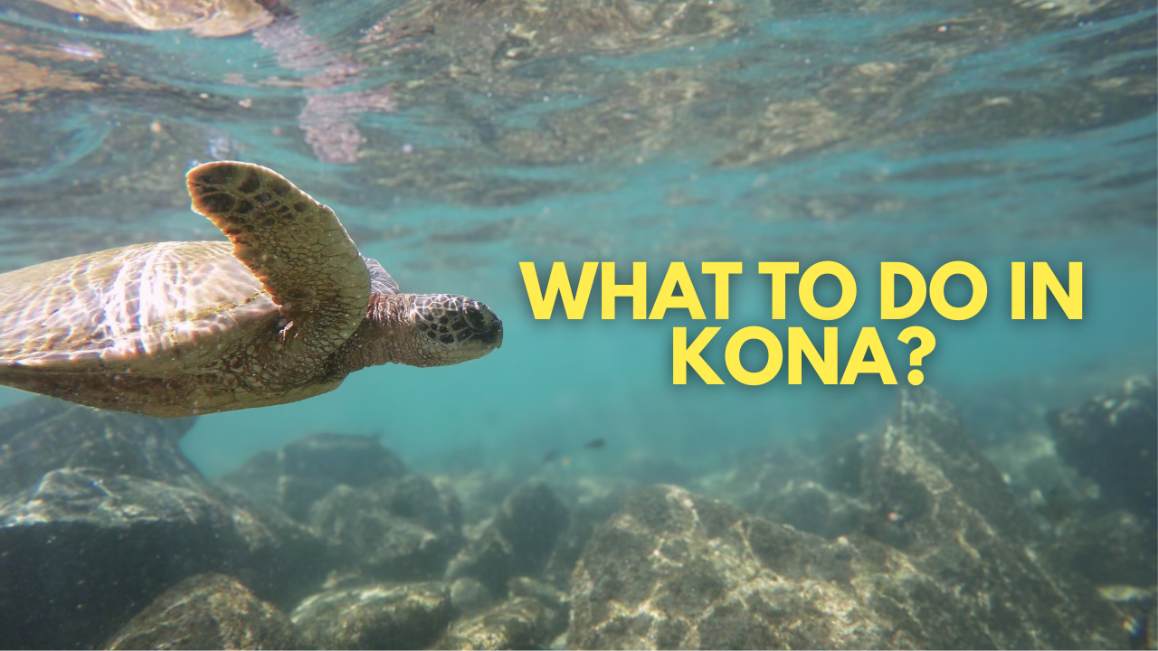 Kona Attractions - Big Island Real Estate - Kona Realtor, Soraya Letournel Kona Attractions