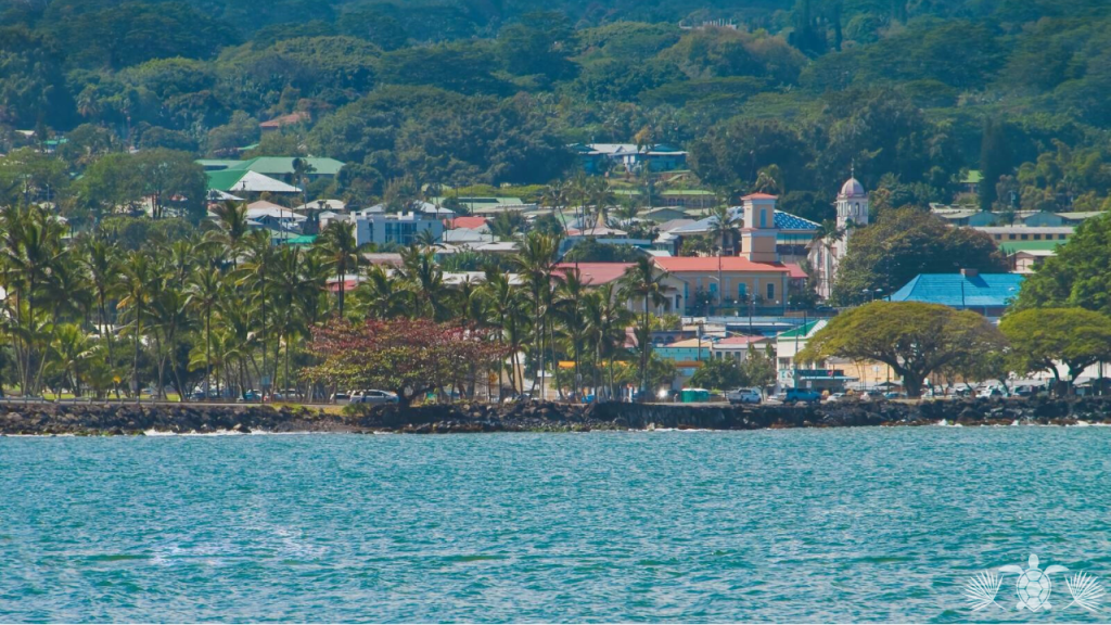 Best neighborhoods in the Big Island _ Hilo