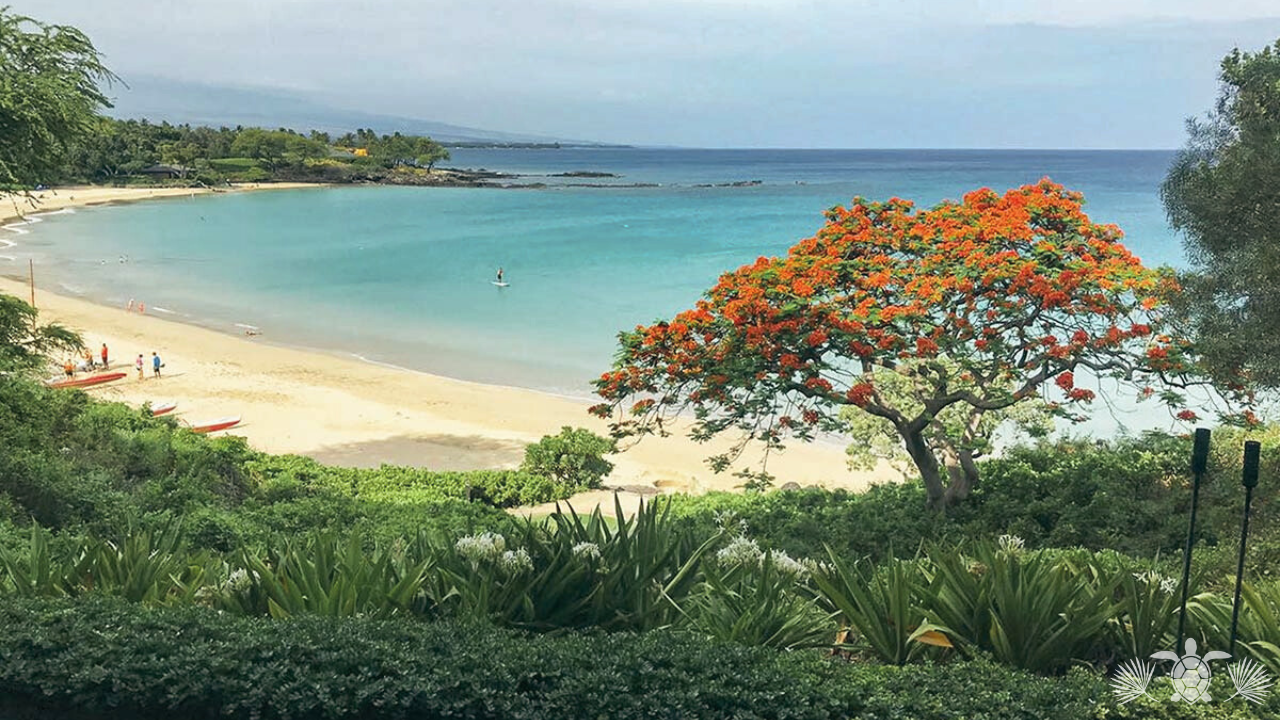 Best neighborhoods in the Big Island_ Mauna Kea Beach - Big Island Real Estate - Kona Realtor, Soraya Letournel Best neighborhoods in the Big Island_ Mauna Kea Beach