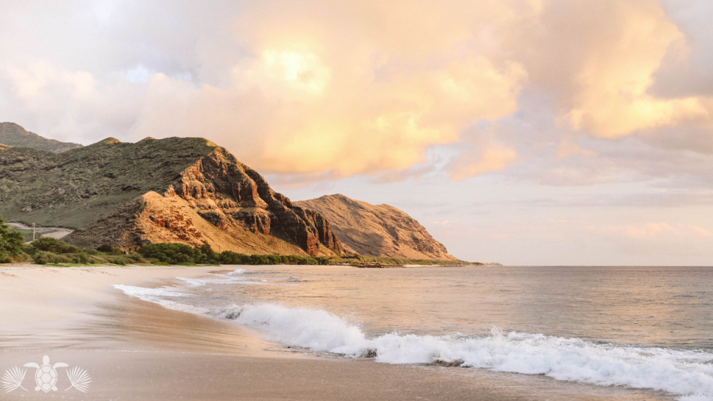 Buying Property in Hawaii Big Island Photo