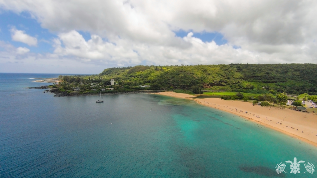 Beach in Waimea Hawaii