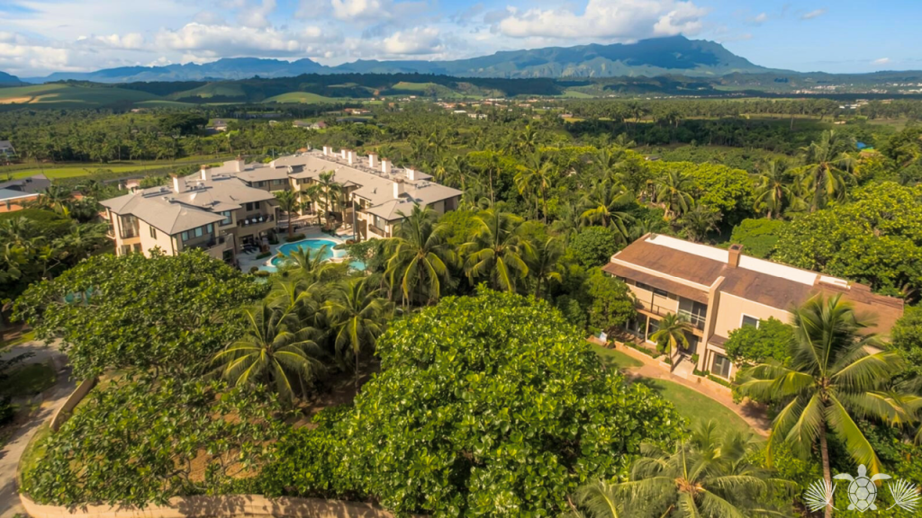 Condo vs Single-Family Big Island Vacation Rentals