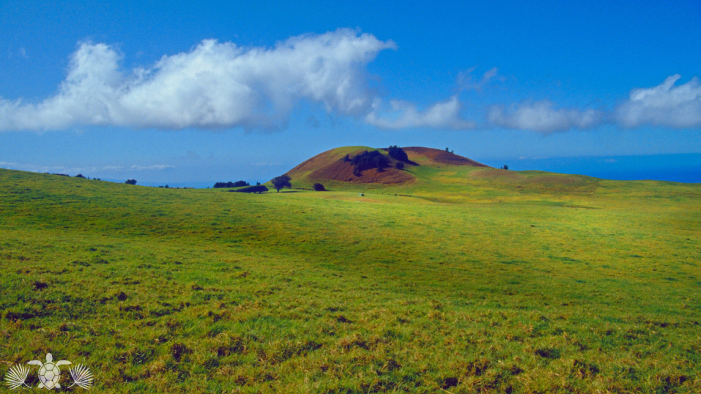 Country-style Waimea Hawaii