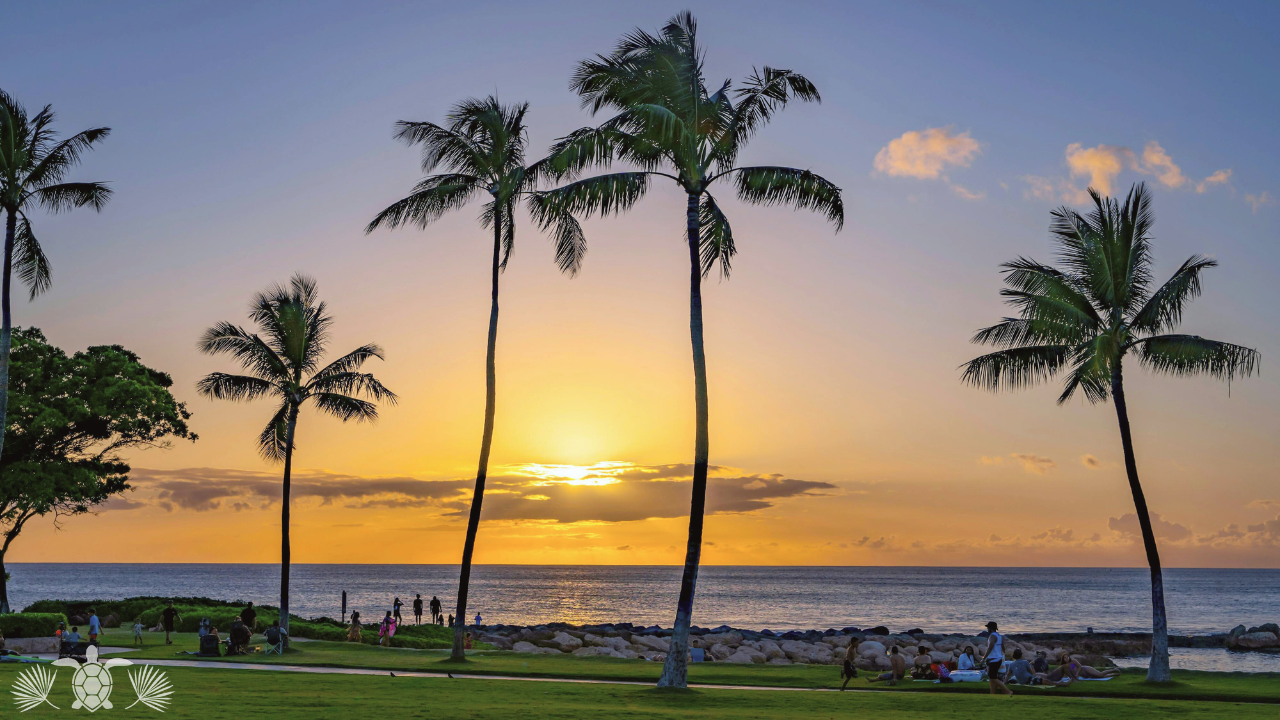 Waikoloa vs Palisades Photo - Big Island Real Estate - Kona Realtor, Soraya Letournel Waikoloa vs Palisades Photo