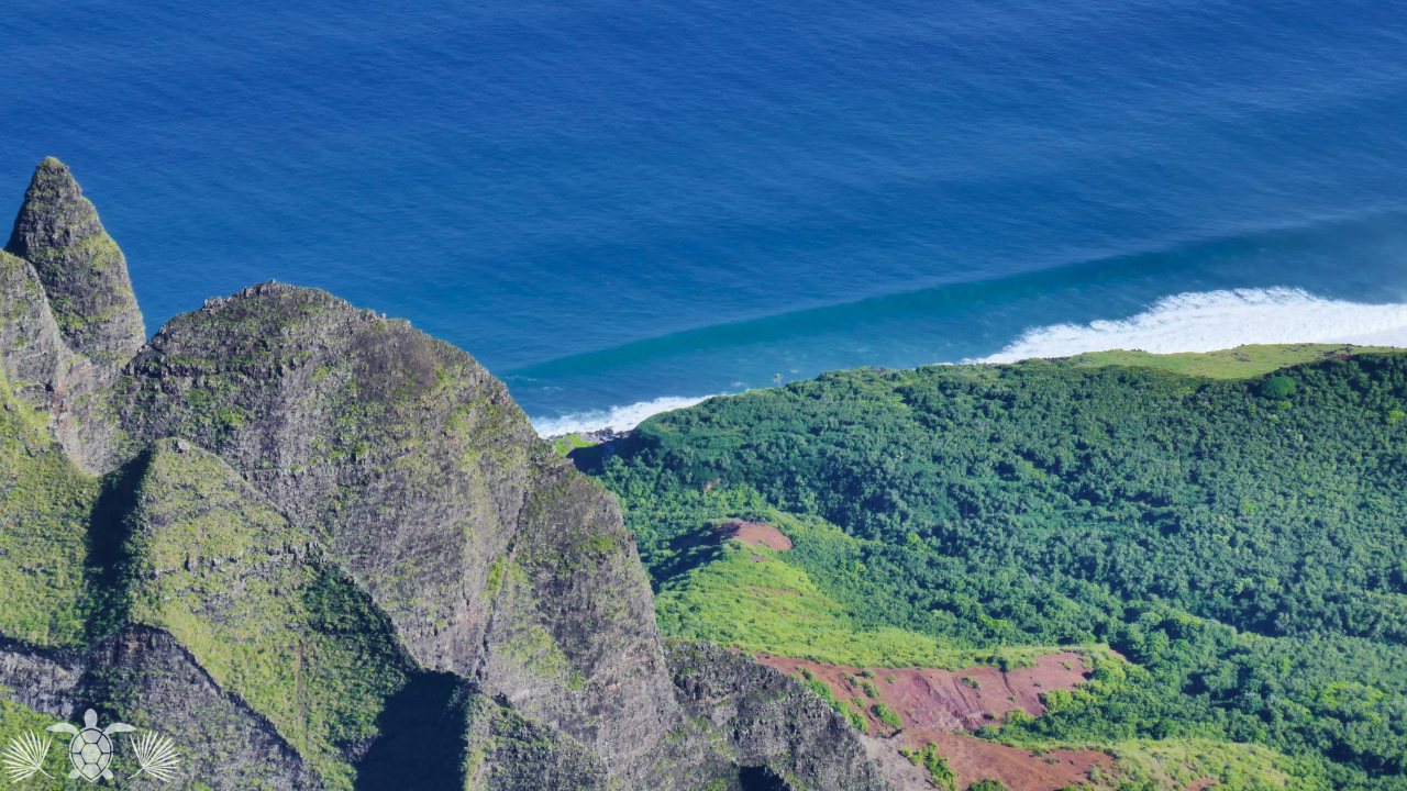 Waimea Hawaii Photo - Big Island Real Estate - Kona Realtor, Soraya Letournel Waimea Hawaii Photo