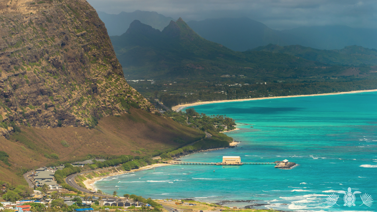 Big Island Real Estate Market 2026 - Big Island Real Estate - Kona Realtor, Soraya Letournel Big Island Real Estate Market 2026