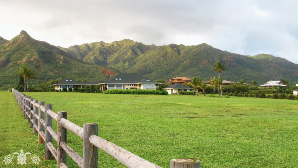Big Island Real Estate Market Regional Forecasts