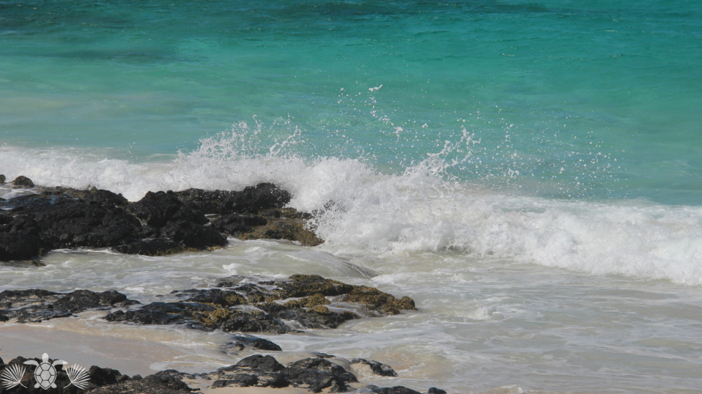 Kona Reef Condo Oceanfront