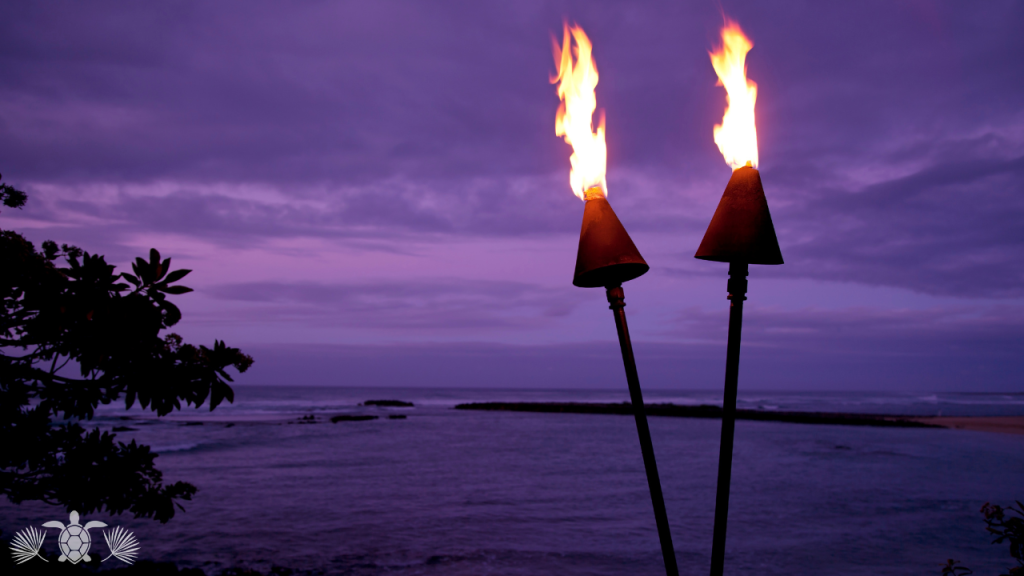 Kona Real Estate Market Update