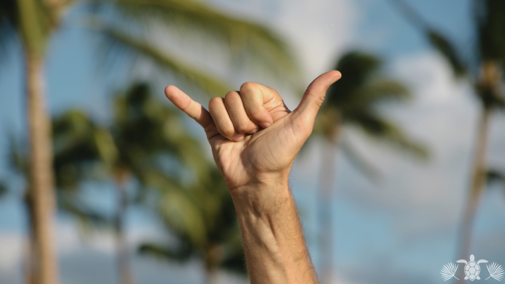 Shaka Hand Gesture in the Air